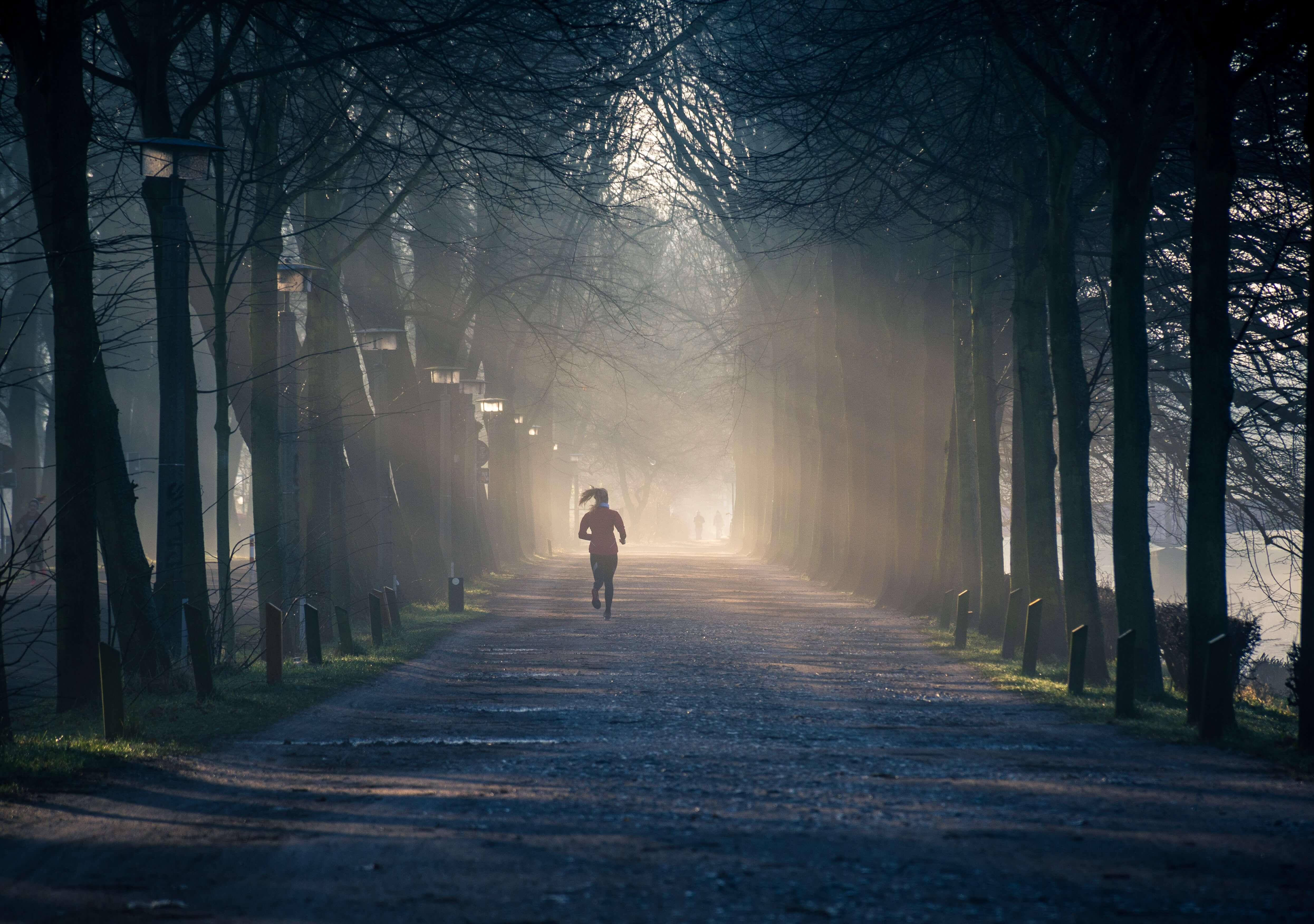 A person running through a forest